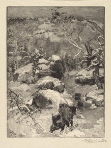 Fontainebleau-skoven: Cuvier-Châtillon-klippen Fontainebleauskoven: Roche Cuvier-Châtillon, 18 af Auguste Louis Lepère