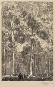 Fontainebleau-skoven: Morgen, korsvej mellem Forts de Marlotte-ruten..., 1890. af Auguste Louis Lepère