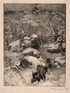 Roche Cuvier Chatillon, 1887. af Auguste Louis Lepère