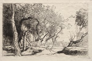 Det snoede træ af Auguste Louis Lepère