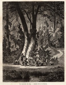 Plukningen af Syri, eller betel, hvis limebelagte plade er afgørende for produktionen af lokal Chic. Tegning af M. de Molins, for at illustrere hans rejse til Java af Auguste de Molins