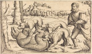 Bjørnejagt, 1545.