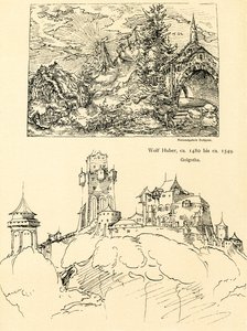 Naturstudie af Augustin Hirschvogel