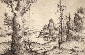S.9-1993 Flodlandskab med et kraftigt træ af Augustin Hirschvogel