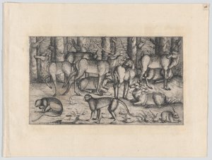 Hjorte i skoven, 1545. af Augustin Hirschvogel