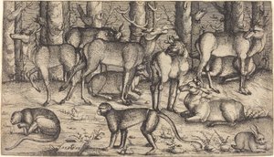 Hjorte i skoven, 1545. af Augustin Hirschvogel