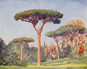 Rock Pines, Villa Floridiana (farvelitografi) af Augustine Fitzgerald