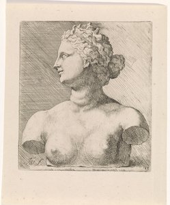 Buste af Venus de
