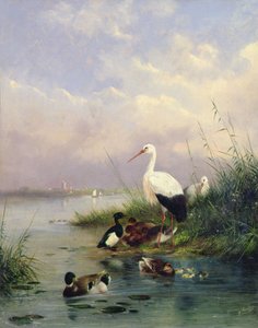 En familie bestående af gråænder, to storke og en familie af tufteænder (par 77886) af Augustus Knip