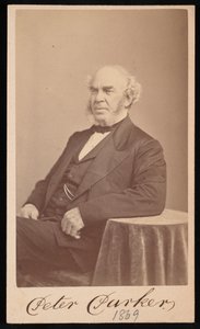 Portræt af Peter Parker 1804-1888, 1869. af Augustus Marshall