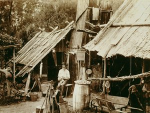 Australsk guldgraver, ca. 1880