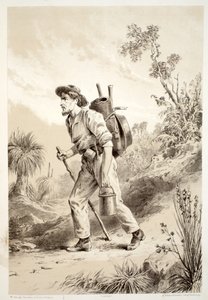 Digger on the Tramp, fra The History of Australasia af David Blair, McGrady, Thomson og Niven, 1879