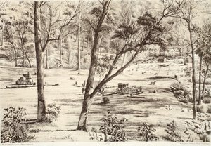 Free Selectors Hut, fra The History of Australasia af David Blair, McGrady, Thomson og Niven, 1879 af Australian School