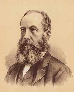 Den ærede Stephen C Brown, Esquire (farvelitografi) af Australian School