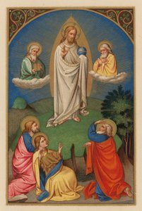 Transfiguratio D N J Chr (chromolitho) af Austrian School