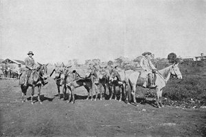 Negociantes do Interior, Traders of the Interior, 1895