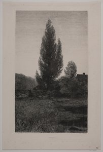 Dansk: Sommeraften