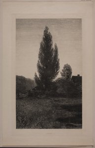 Dansk: Sommeraften