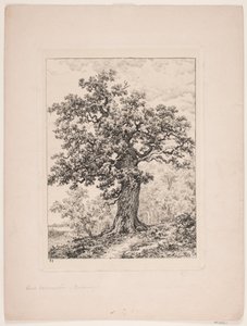 Niels Ebbesens eg. Gyllingnæs skov af Axel Schovelin