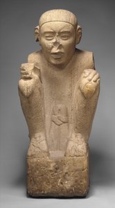 Fanebærer af Aztec