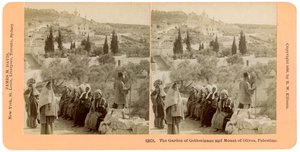 Getsemane-haven og Oliebjerget, Palæstina, 1898.