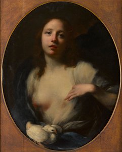 Maleri af en ung pige med hvid due (olie på lærred) af Baldassare (1611 89) Franceschini