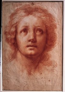 Studie af en kvindes hoved, det faste blik vender opad Tegning i blæk og vask af Franceschini Baldassare dit il Volterrano (1611-1689). 17. århundrede. Svag. 0,42x0,28m. Paris, Louvre-museet af Baldassare  Franceschini