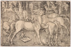 Gruppe af syv heste, 1534. af Baldung