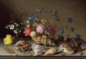 Blomster, skaller og insekter på en stenkant