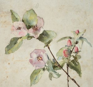Grene af lyserøde blomster (akvarel på papir)