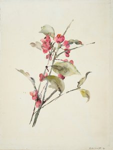 Lyserøde blomster (akvarel på papir) af Barbara Leigh Smith Bodichon