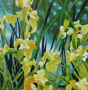 Levende gule iris