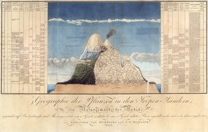 Geography of Plants in Tropical Countries, A Study of the Andes, tegnet af Schoenberger und Turpin, trykt af Langlois, Paris