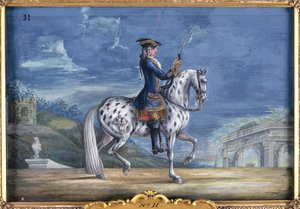 Nr. 11 En appaloosa-hest fra den spanske rideskole, fra det kejserlige stutteri i Bøhmen (wc på papir)