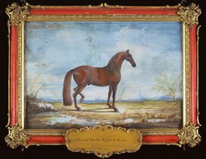 nr. 2 Alzan de Tunis, en Barbary-hest fra den spanske rideskole (wc på papir)
