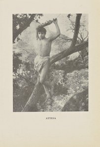 Venter af Baron Wilhelm von Gloeden