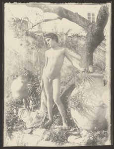 [Nøgen ung mand i have] af Baron Wilhelm von Gloeden