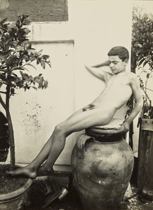 [Nøgen ung mand i haven] af Baron Wilhelm von Gloeden