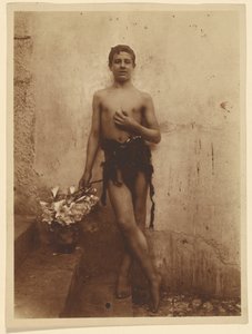[Ungdom med liljer] af Baron Wilhelm von Gloeden