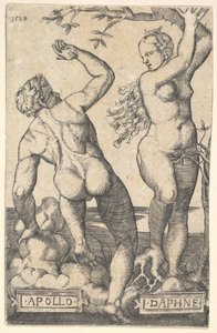 Apollo og Daphne omvendt kopi.n.d.