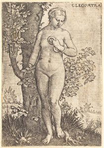 Kleopatra af Barthel Beham