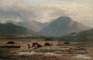 Tørvemose, Letterfrack, Connemara af Bartholomew Colles Watkins