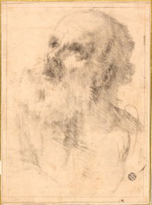 Hovedet af en gammel mand af Bartolomé Esteban Murillo