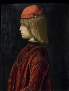Portræt af Guidubaldo da Montefeltro, ca. 1480-81 (olie på panel) af Bartolomeo (attr. to) Della Gatta