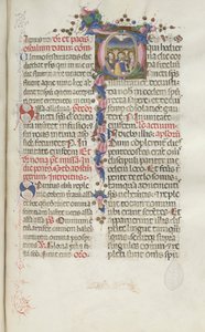 Missale: Fol. 214: Pinse, 1469. af Bartolomeo Caporali