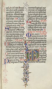 Missale: Fol. 260: Løv med frugt, 1469