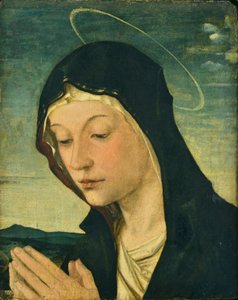 Hoved og hænder af en tilbedende madonna (fragment), ca. 1477-78 (tempera på poppeltræ) af Bartolomeo Montagna