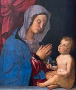 Madonna og barn, ca. 1503 (olie på træpanel) af Bartolomeo Montagna