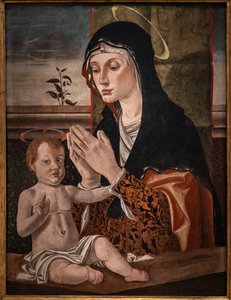 Madonna med spædbarnet Jesus af Bartolomeo Montagna