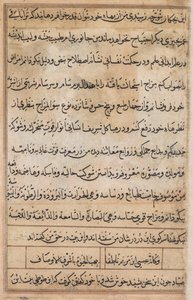 Side fra Tales of a Parrot Tuti-nama: tekstside, ca. 1560. af Basavana